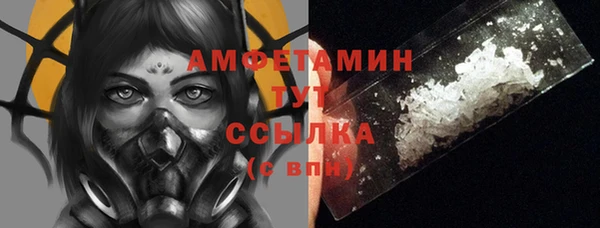 крисы Баксан