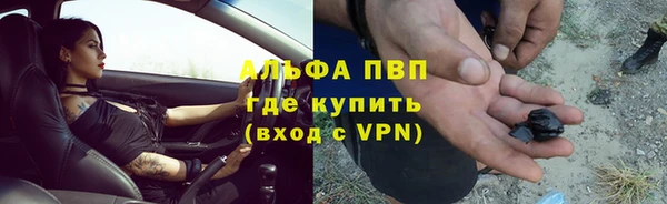 a pvp Павловск