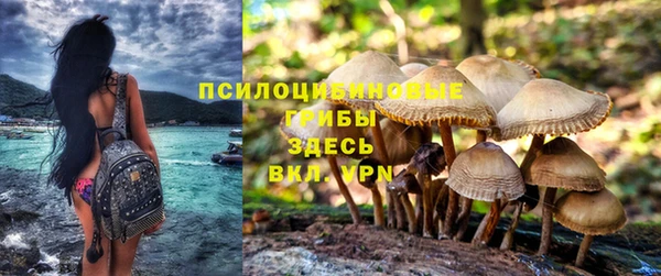 сатива Армянск