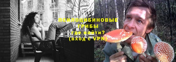ПСИЛОЦИБИНОВЫЕ ГРИБЫ Балахна