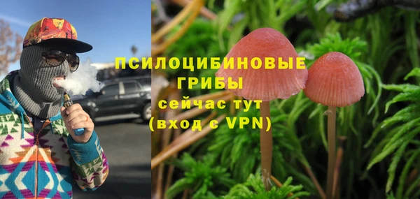 ECSTASY Аркадак