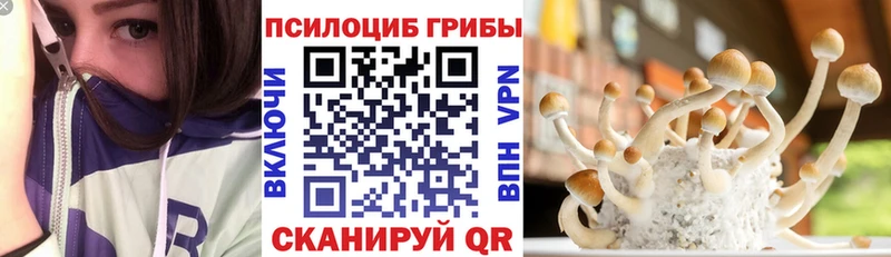 Галлюциногенные грибы Cubensis  хочу наркоту  Балей 